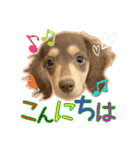 Kダックス詩さんの賑やかUTAンプ-1（個別スタンプ：6）