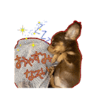 Kダックス詩さんの賑やかUTAンプ-1（個別スタンプ：7）