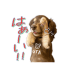 Kダックス詩さんの賑やかUTAンプ-1（個別スタンプ：8）