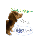 Kダックス詩さんの賑やかUTAンプ-1（個別スタンプ：13）