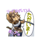 Kダックス詩さんの賑やかUTAンプ-1（個別スタンプ：14）