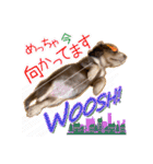 Kダックス詩さんの賑やかUTAンプ-1（個別スタンプ：18）