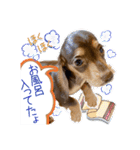 Kダックス詩さんの賑やかUTAンプ-1（個別スタンプ：21）