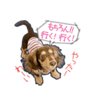 Kダックス詩さんの賑やかUTAンプ-1（個別スタンプ：23）