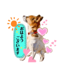 はなちゃんで日常会話パート1（個別スタンプ：4）