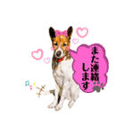 はなちゃんで日常会話パート1（個別スタンプ：5）