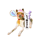 はなちゃんで日常会話パート1（個別スタンプ：7）