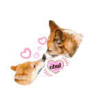 はなちゃんで日常会話パート1（個別スタンプ：8）