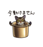 猫スタンプ（キジトラ）（個別スタンプ：14）