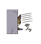 猫スタンプ（キジトラ）（個別スタンプ：36）