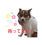 しおんくんかわいすぎ（個別スタンプ：2）