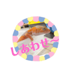 かわいいレオパ・ニシアフ スタンプ（個別スタンプ：18）