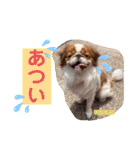 あきすずじゅなチャンネルスタンプ第二弾（個別スタンプ：15）
