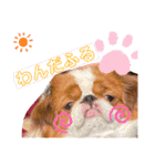 あきすずじゅなチャンネルスタンプ第二弾（個別スタンプ：23）