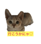 秀吉の気ままな日常（個別スタンプ：3）