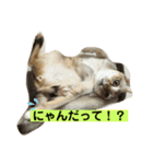 秀吉の気ままな日常（個別スタンプ：8）