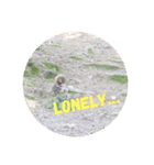 monkey stamps.（個別スタンプ：6）