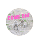 monkey stamps.（個別スタンプ：10）