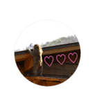 monkey stamps.（個別スタンプ：14）