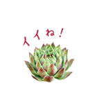 センペルビウムとジョビバルバ（個別スタンプ：10）