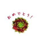 センペルビウムとジョビバルバ（個別スタンプ：11）