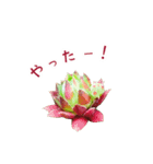 センペルビウムとジョビバルバ（個別スタンプ：12）