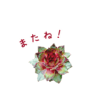 センペルビウムとジョビバルバ（個別スタンプ：24）