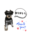 つくちゃんいいこ2（個別スタンプ：1）