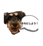 つくちゃんいいこ2（個別スタンプ：2）