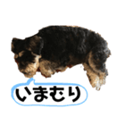 つくちゃんいいこ2（個別スタンプ：4）