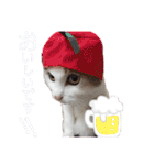 日常で使える便利スタンプ 猫 挨拶 お礼（個別スタンプ：35）