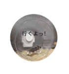 ハムスターの日常(ブルーサファイア編)（個別スタンプ：4）
