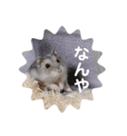 ハムスターの日常(ブルーサファイア編)（個別スタンプ：12）