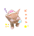 ♡BABYポテちゃん♡（個別スタンプ：2）