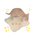 ♡BABYポテちゃん♡（個別スタンプ：4）