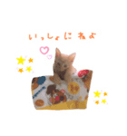 ♡BABYポテちゃん♡（個別スタンプ：5）