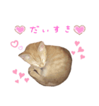 ♡BABYポテちゃん♡（個別スタンプ：8）