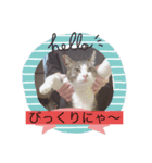 tyuru（個別スタンプ：4）