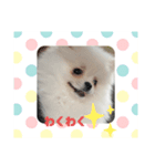 めろんとにこる（個別スタンプ：2）