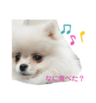 めろんとにこる（個別スタンプ：3）