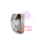 めろんとにこる（個別スタンプ：6）