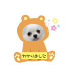 めろんとにこる（個別スタンプ：8）