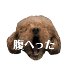 リルスタンプ！（個別スタンプ：4）