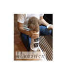リルスタンプ！（個別スタンプ：5）