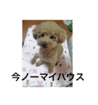 リルスタンプ！（個別スタンプ：6）
