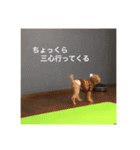 リルスタンプ！（個別スタンプ：7）