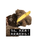リルスタンプ！（個別スタンプ：8）