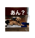 リルスタンプ！（個別スタンプ：9）
