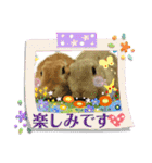 らっさん＆リラさん ほのぼのスタンプ3（個別スタンプ：12）