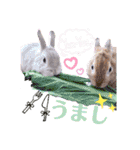 らっさん＆リラさん ほのぼのスタンプ3（個別スタンプ：22）